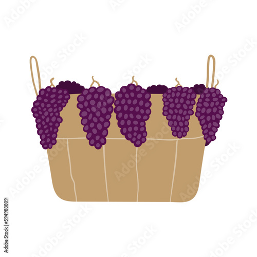 Basket of grapes hand drawn illustration. Cartoon style flat design, isolated vector. Summer, autumn seasonal print element, farming, gardening, harvest, agriculture, wine making, vineyard