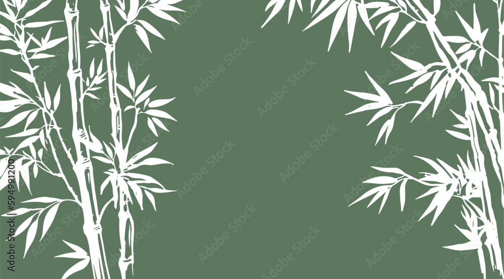 Bamboo tree, Hand drawn style. Vector.
