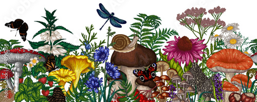 Seamless horizontal summer pattern with mushrooms, plants, berries. Fly agaric, chanterelles, white mushroom, mushrooms, boletus, morels, russula, snails, strawberries, ferns, butterflies, dragonflies