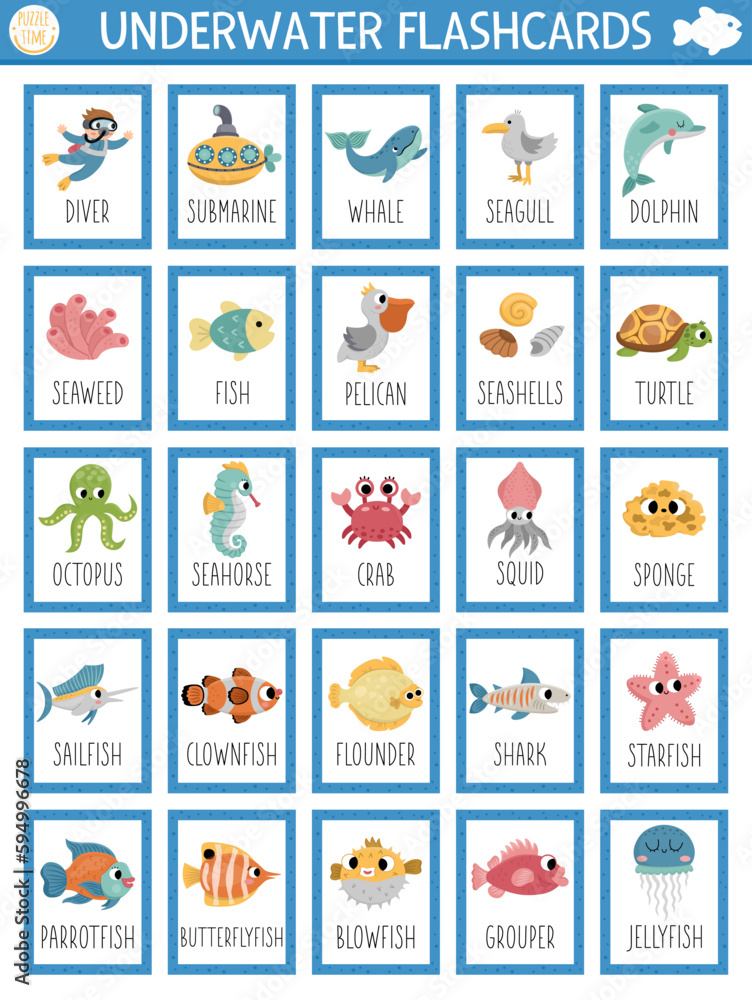 Vector big flash cards set with water animals, seaweeds, fishes