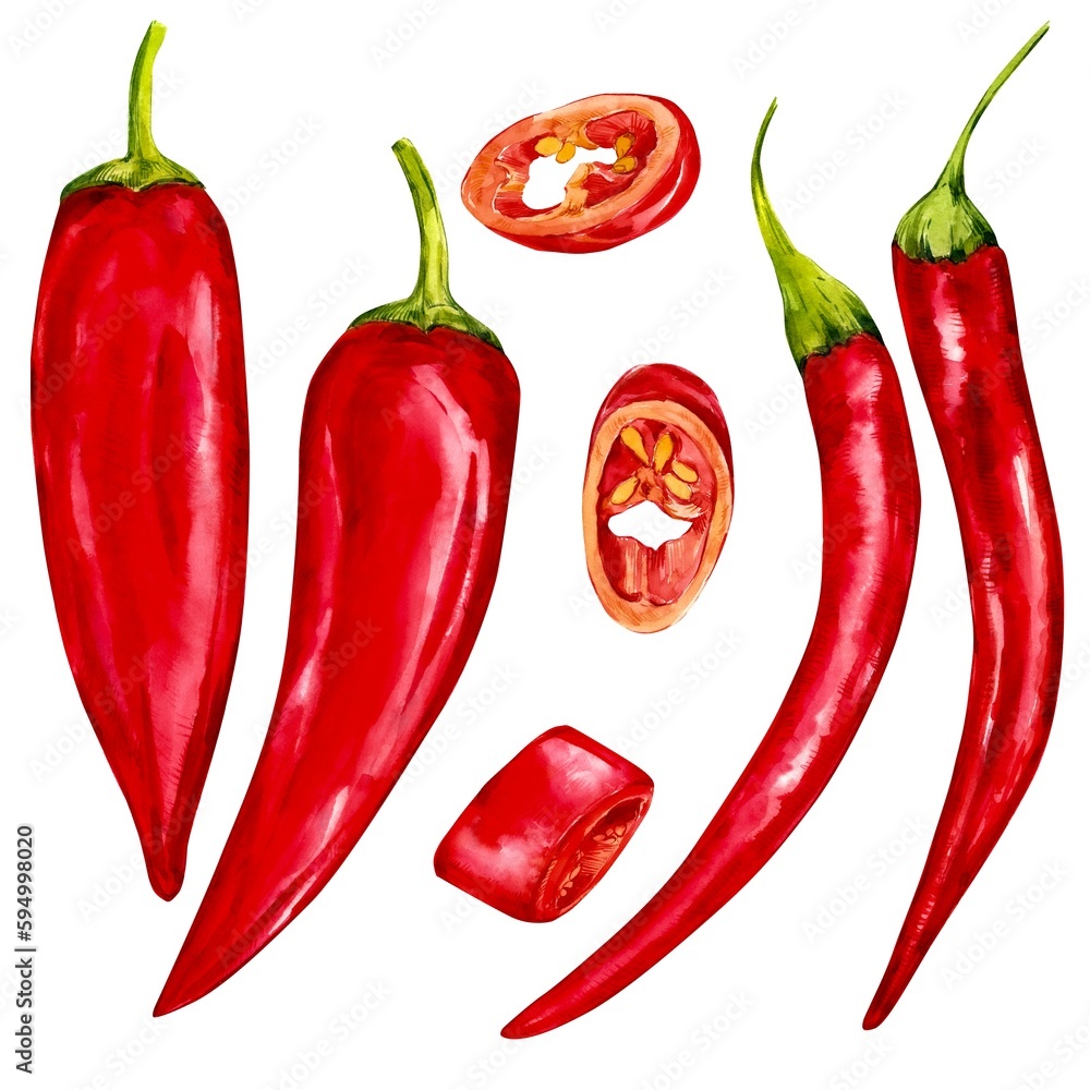 Set of red hot chili peppers. Bright shiny vegetables on a white background. Watercolor illustrations for menu design, textiles, packaging. - obrazy, fototapety, plakaty 