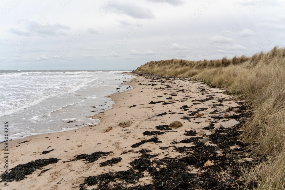 View of the dunes, beach and sea in winter, at Low Hauxley, near Amble, Northumberland, UK.