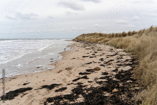 View of the dunes  beach and sea in winter  at Low Hauxley  near Amble  Northumberland  UK.