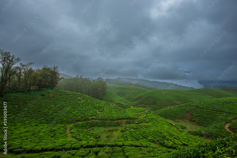 Obraz premium green field and clouds