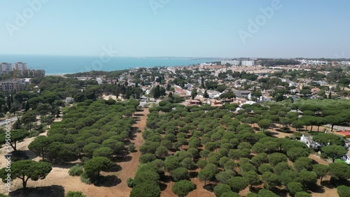 Vista aérea de pinar cerca de la playa en El Puerto de Santa María, Cádiz, Andalucía.