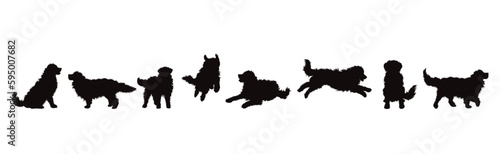 Vector silhouette of set of dogs on white background. photo