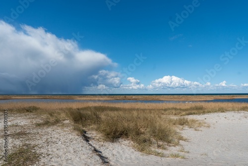 Fototapeta Naklejka Na Ścianę i Meble -  Grassy coast and a river against the blue sky with fluffy clouds