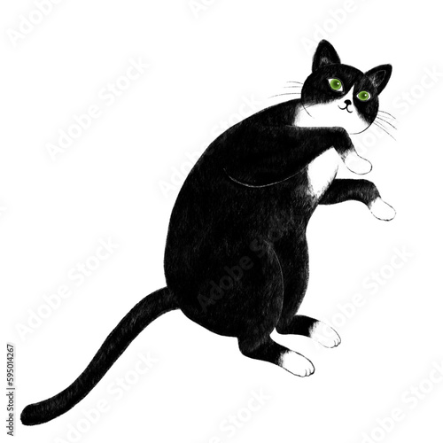横になったハチワレ猫のイラスト、ゴロゴロしているハチワレ猫のイラスト、寝そべる鉢割れ猫のイラスト