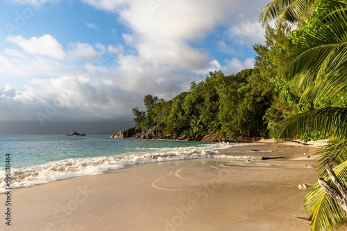a tropical beach surrounded by coconut trees on a clear day