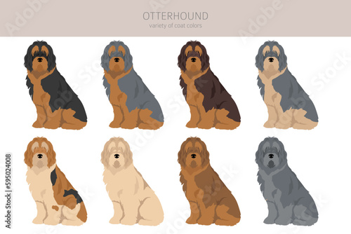 Otterhound clipart. Different poses, coat colors set