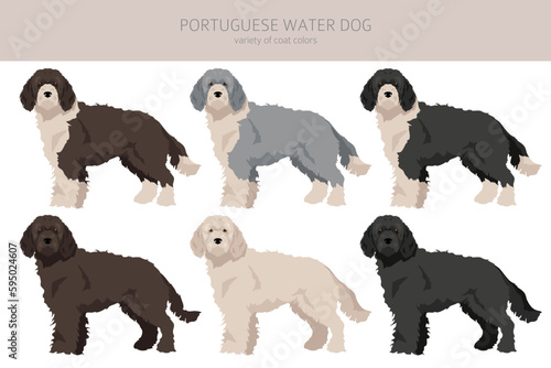 Portuguese water dog clipart. Different poses, coat colors set