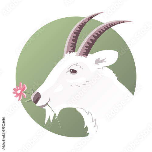 Portrait of a goat head with horns. Shews a flower. Farm horned pet. Goat milk. Cartoon illustration isolated on white background