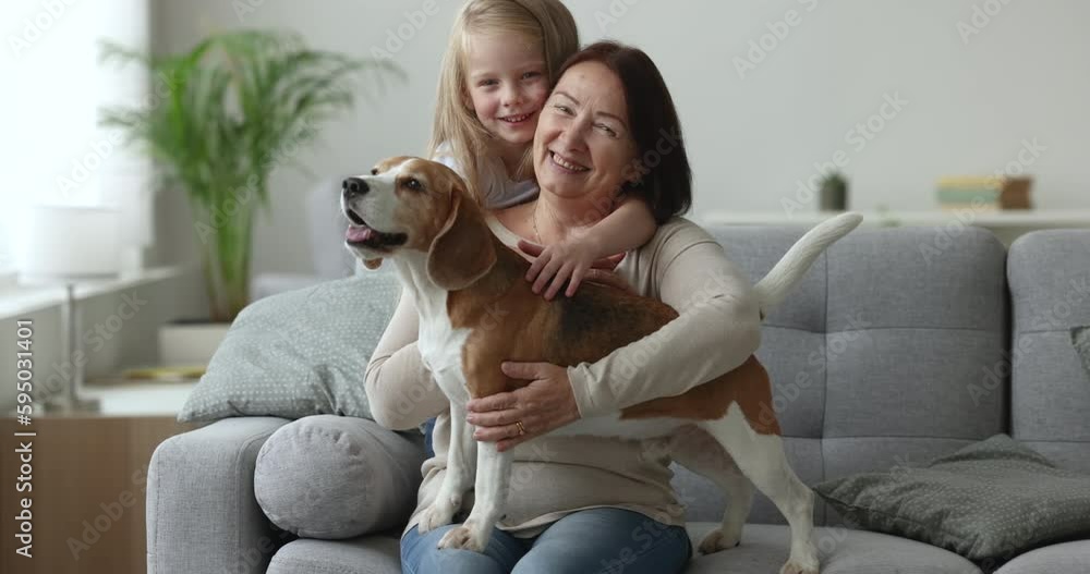 Pretty little girl hugs her granny sit on sofa look at camera and strokes cute beagle dog. Multigenerational relatives bond, ties, family pastime with lovely pet during visit elderly grandma at home Pretty little girl hugs her granny sit on sofa look at camera and strokes cute beagle dog. Multigenerational relatives bond, ties, family pastime with lovely pet during visit elderly grandma at home
