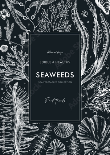 Hand-drawn seaweeds frame design. Edible algae in sketch style. Underwater plants vector illustration with kelp, wakame, kombu, and hijiki drawings. Healthy food ingredients banner on chalkboard
