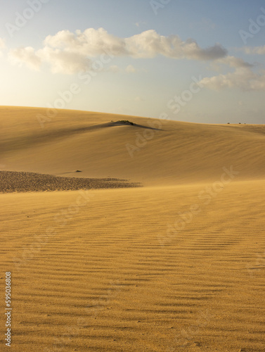 The warm light of the sunset in the desert