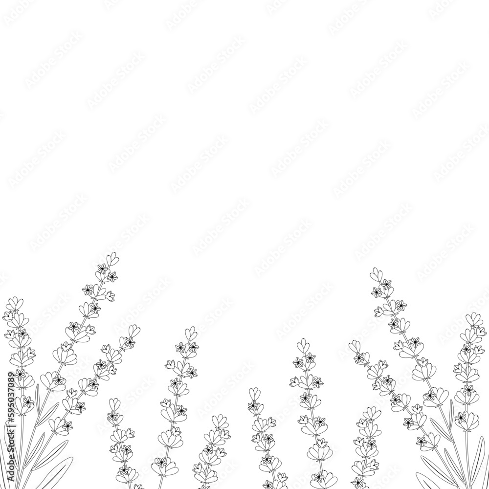 Card frame  lavender flowers graphic vector illustration