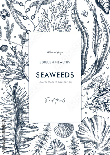 Hand-drawn edible seaweeds frame design. Sea algae in sketch style. Vector illustration with kelp, wakame, kombu, and hijiki drawings. Healthy food ingredients banner for Asian cuisine menu.