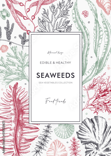 Hand-drawn seaweeds frame design. Edible algae in sketch style. Underwater plants vector illustration with kelp, wakame, kombu, and hijiki drawings. Healthy food ingredients banner for Asian cuisine