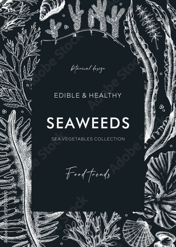 Edible seaweeds frame design on chalkboard. Hand drawn sea algae in sketch style. Vector illustration with kelp, wakame, kombu, and hijiki drawings. Healthy food ingredients banner for Asian cuisine