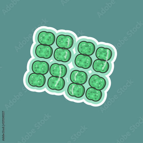 Merismopedia is a genus of spherical or cylindrical cyanobacteria that form colonies, exhibiting intricate and fascinating patterns under a microscope.