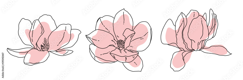 Obraz Magnolia flower blooming outline. Hand drawn realistic detailed vector illustration. Black and white clipart. fototapeta, plakat