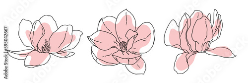 Fototapeta Magnolia flower blooming outline. Hand drawn realistic detailed vector illustration. Black and white clipart.