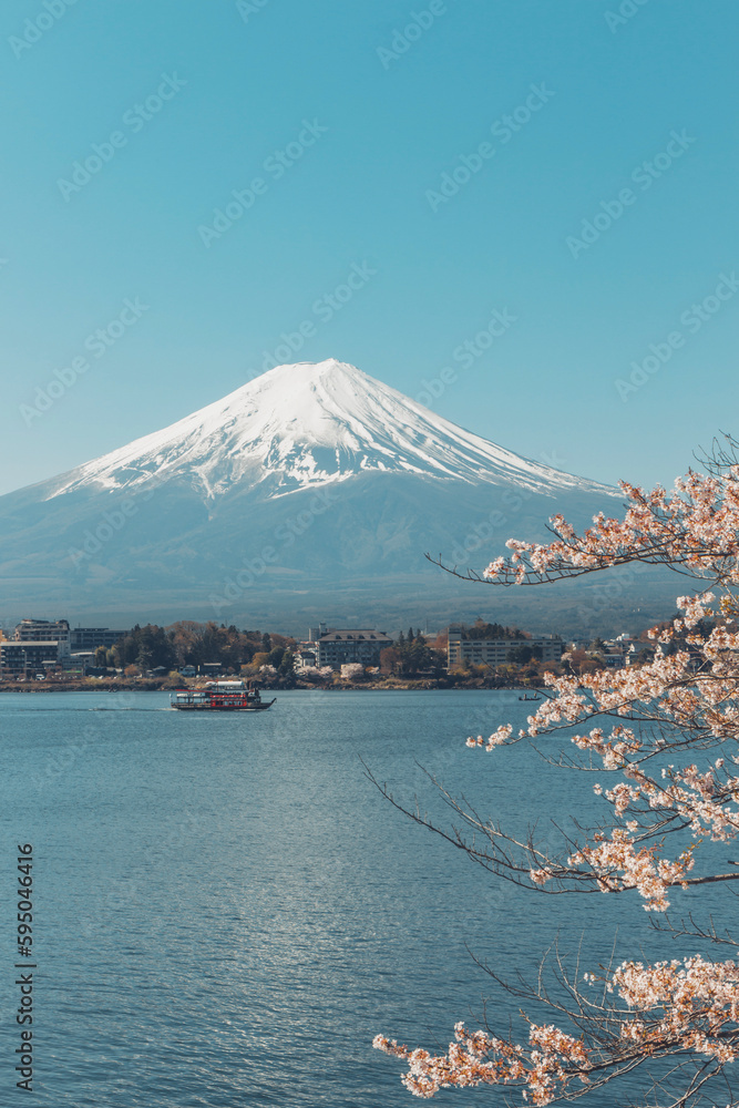 A representative spring landscape of Japan with cherry blossoms in full bloom and Mt. Fuji seen from Lake Kawaguchi in Yamanashi Prefecture.
