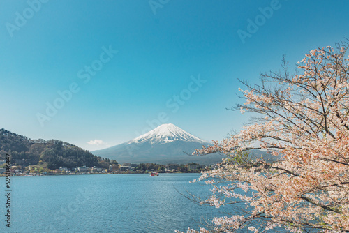 A representative spring landscape of Japan with cherry blossoms in full bloom and Mt. Fuji seen from Lake Kawaguchi in Yamanashi Prefecture. 