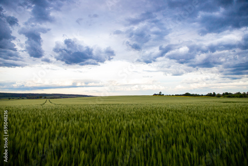Landscape shot of fields and cloudy sky