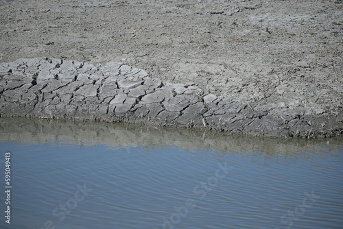 dry land with cracks close-up