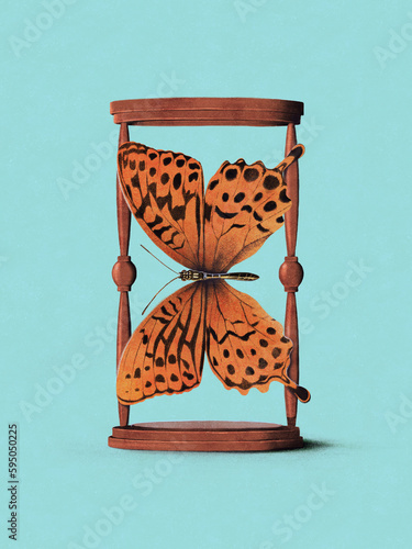 Butterfly forming hourglass photo