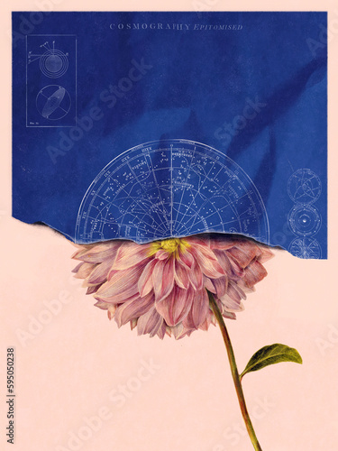 Half a cosmography map and half a flower