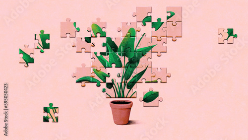 Pot plant jigsaw puzzle photo