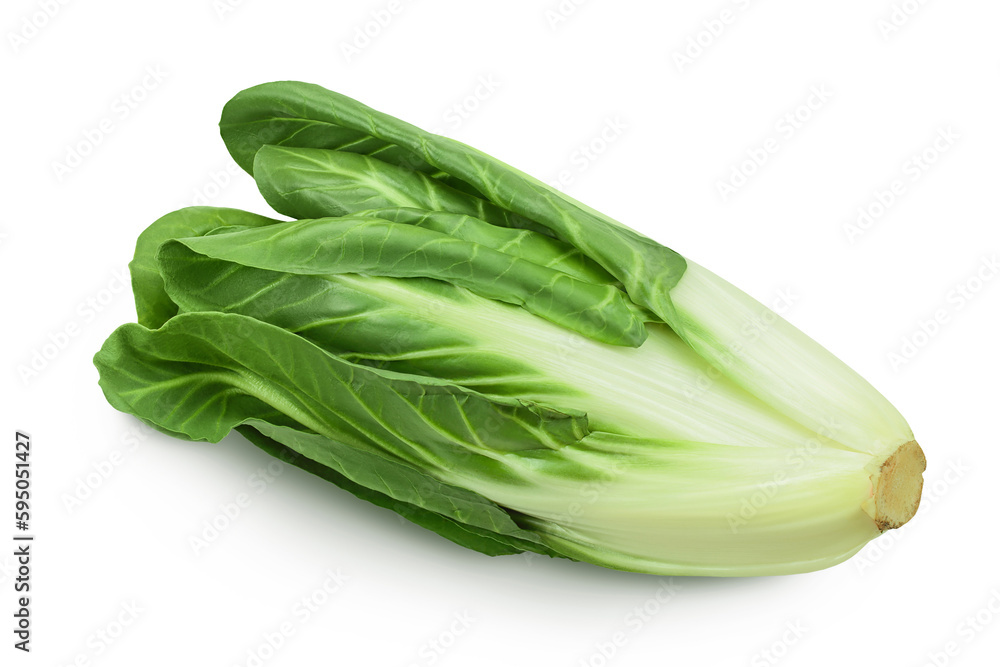 Organic fresh chard plant isolated on white background with full depth of field Organic fresh chard plant isolated on white background with full depth of field