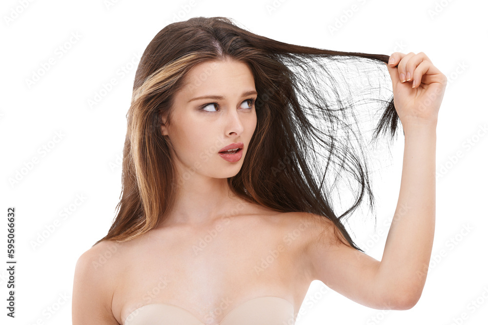 Obraz premium Woman, hair care and split ends problem isolated on a transparent png background. Hairloss, damage and serious female model looking at messy hairstyle, frizzy and breakage after salon treatment.