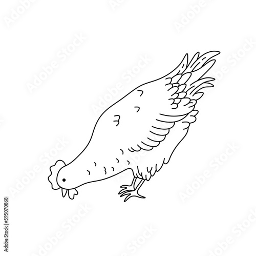 Vector isolated one single cute cartoon pecking rooster hen cock standing side view colorless black and white contour line easy drawing