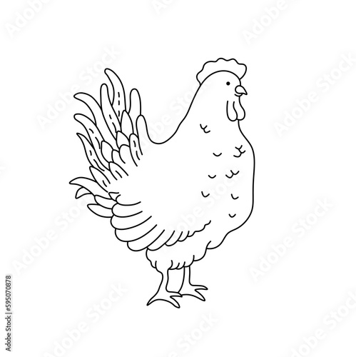 Vector isolated one single cute cartoon rooster hen cock standing side view colorless black and white contour line easy drawing