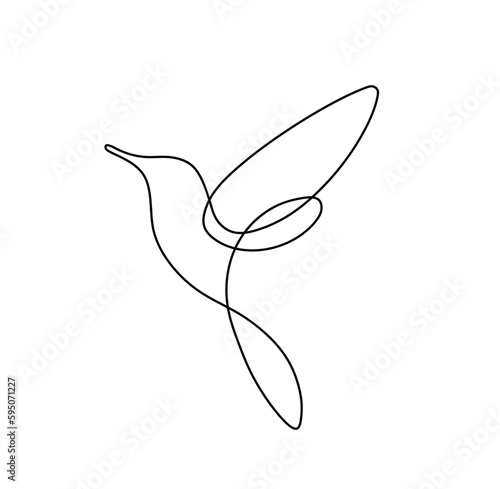 Vector isolated one single contemporary line flying hummingbird side view colorless black and white contour line easy drawing