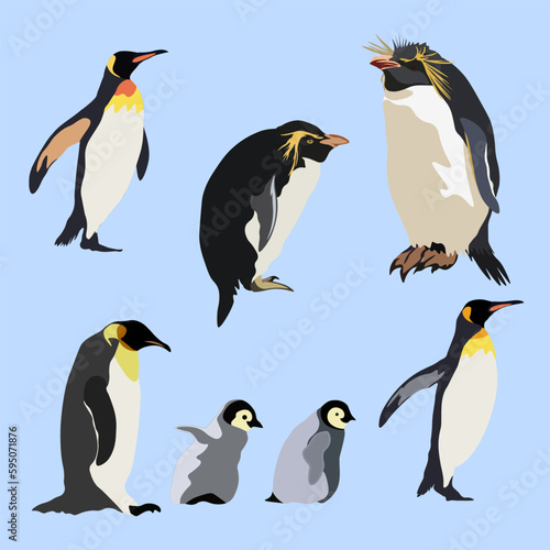Penguins set , light blue background. Vector illustration