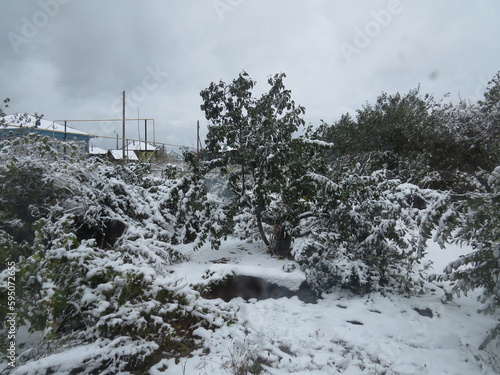 Wallpaper Mural nature Torontodigital.ca