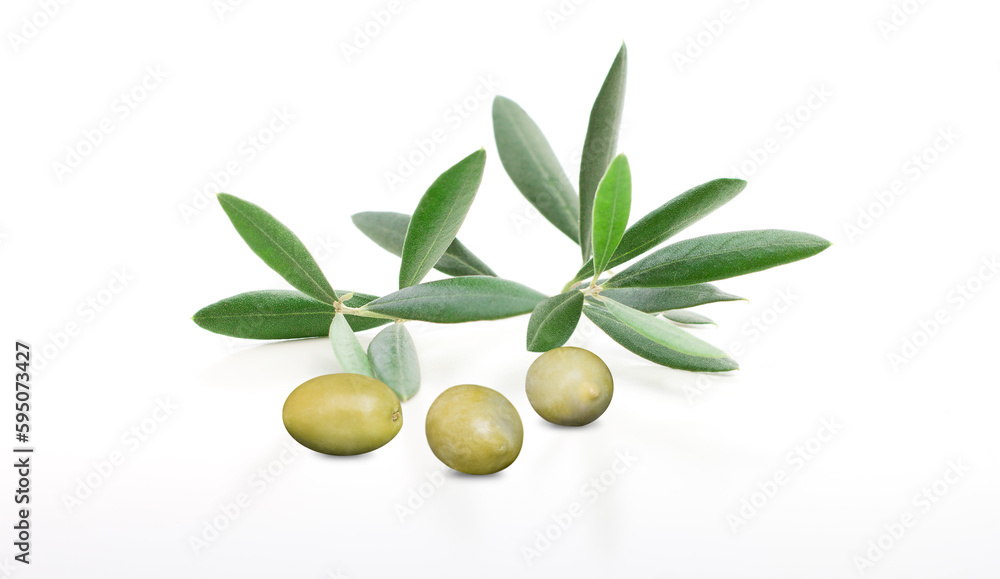 Olive branch with three delicious green olives, isolated on white Olive branch with three delicious green olives, isolated on white