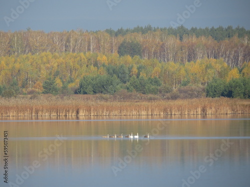 Wallpaper Mural nature Torontodigital.ca