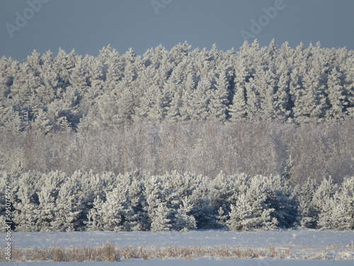 Wallpaper Mural nature Torontodigital.ca