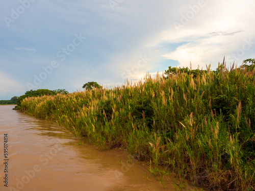 Amazonia photo