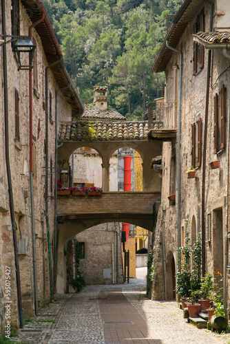 Fototapeta Naklejka Na Ścianę i Meble -  Arch in the medieval town of Scheggino in Valnerina, Umbria region, Italy