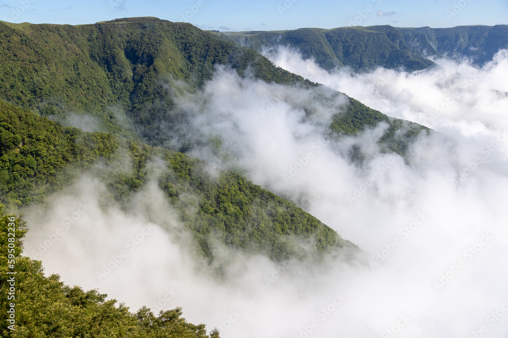 Obraz premium atlantic forest mountain