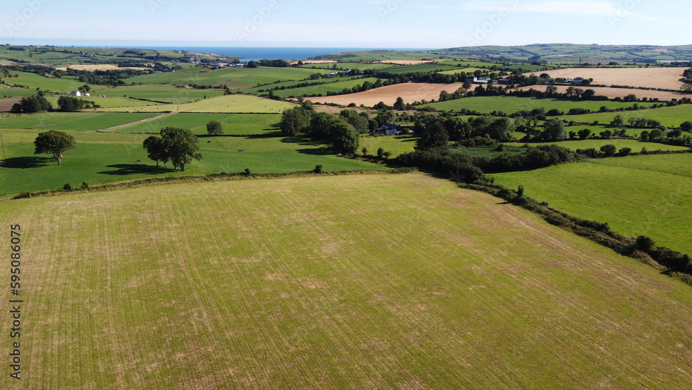 fields separated by shrubs. pastures in the south of Ireland. Agricultural landscape, nature. Green grass field