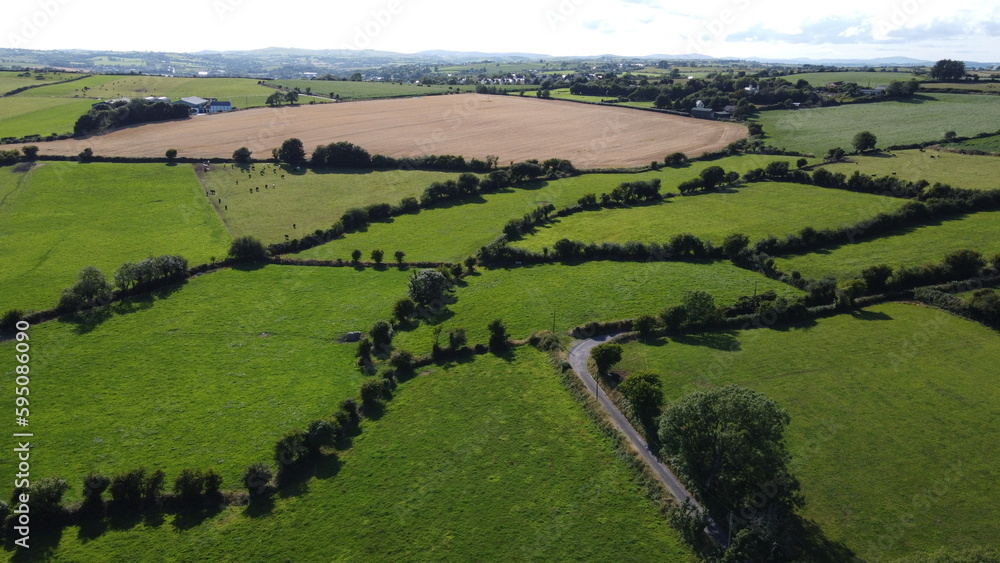 Green fields of Ireland lined with trees, top view. Green Irish landscape.