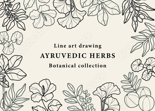 Line art ayurvedic plants background