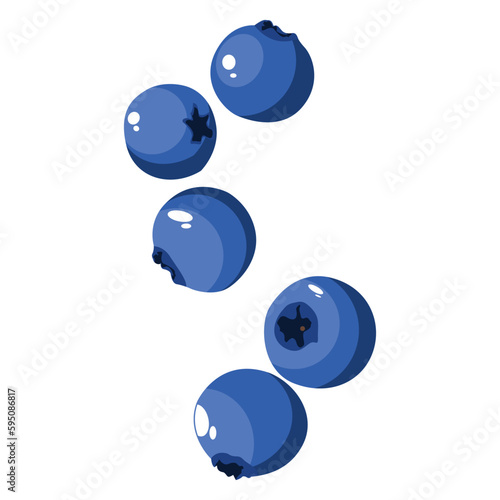 Vector illustration of blueberry fruit for helaty lifestyle